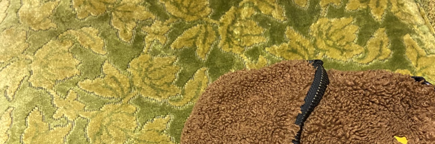 lindzsie's profile banner image