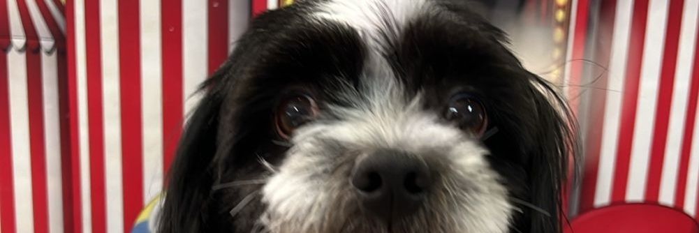 mallusnt's profile banner image