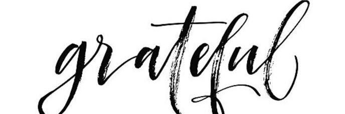 _LindyZ's profile banner image