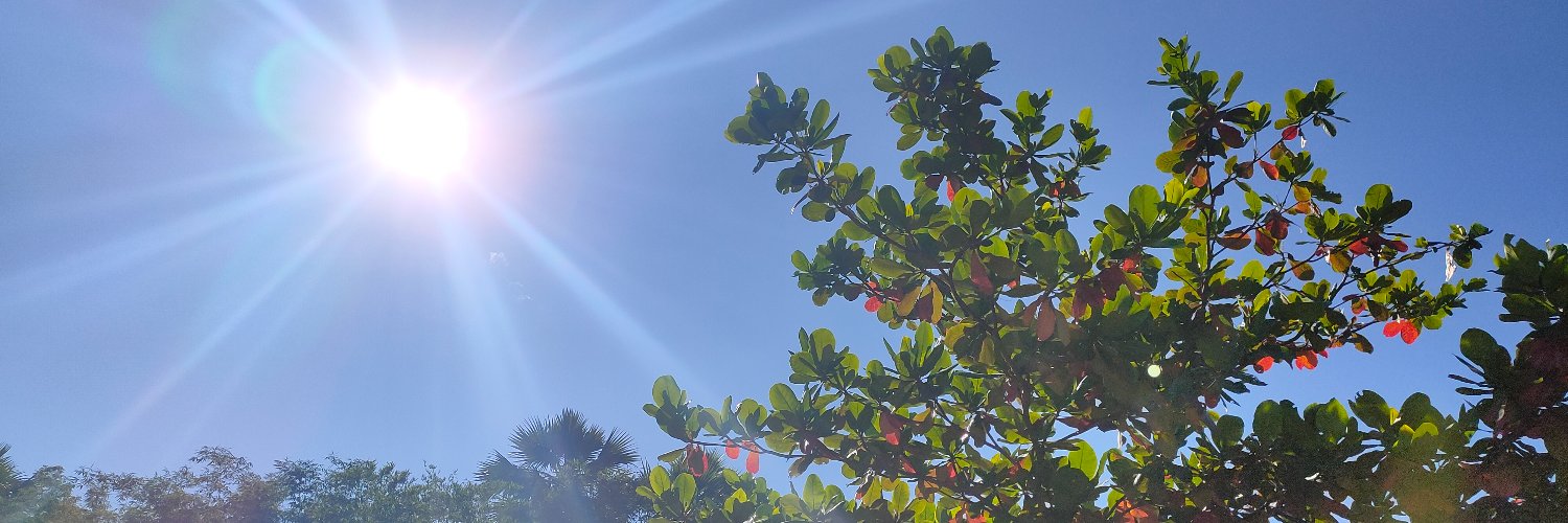 dnath2020's profile banner image