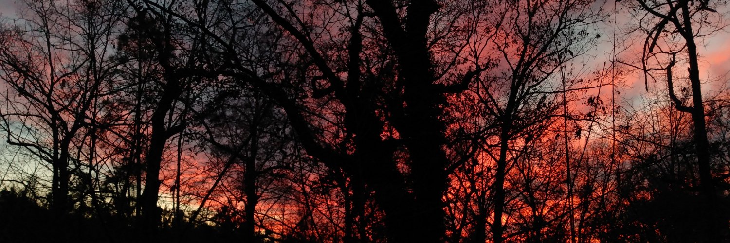 TobyAdkins's profile banner image