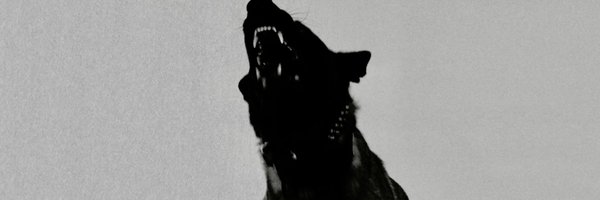 kcamp Profile Banner