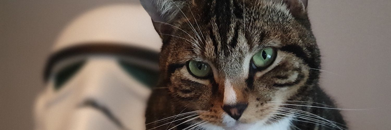 d3vlinUK's profile banner image