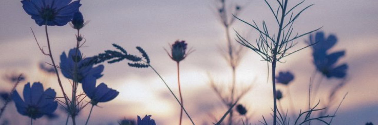 rreneeeeee's profile banner image