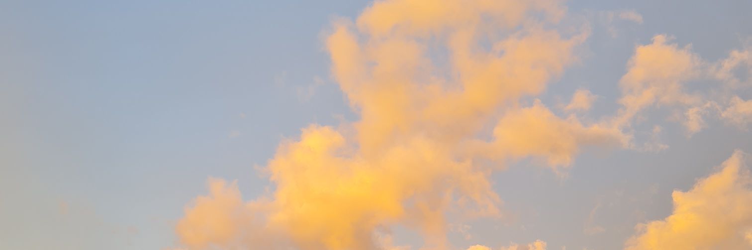 Beatriz To banner
