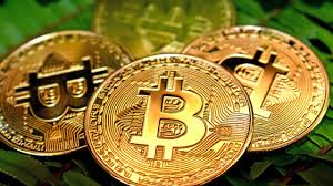 人生楽して暮らしたい banner