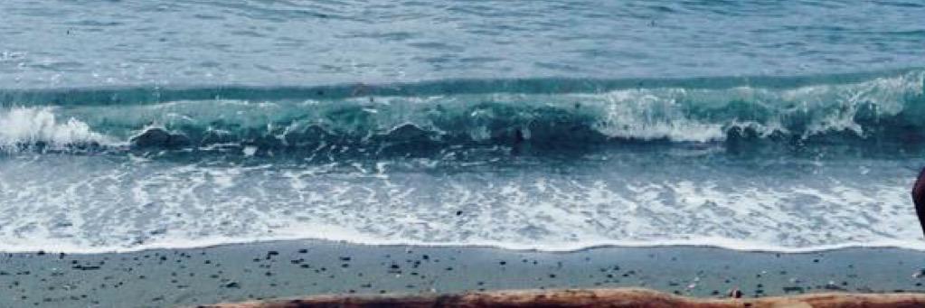 xFullOfPoisonx's profile banner image