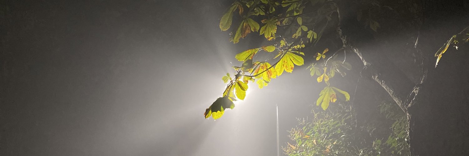 bukadarolur_'s profile banner image