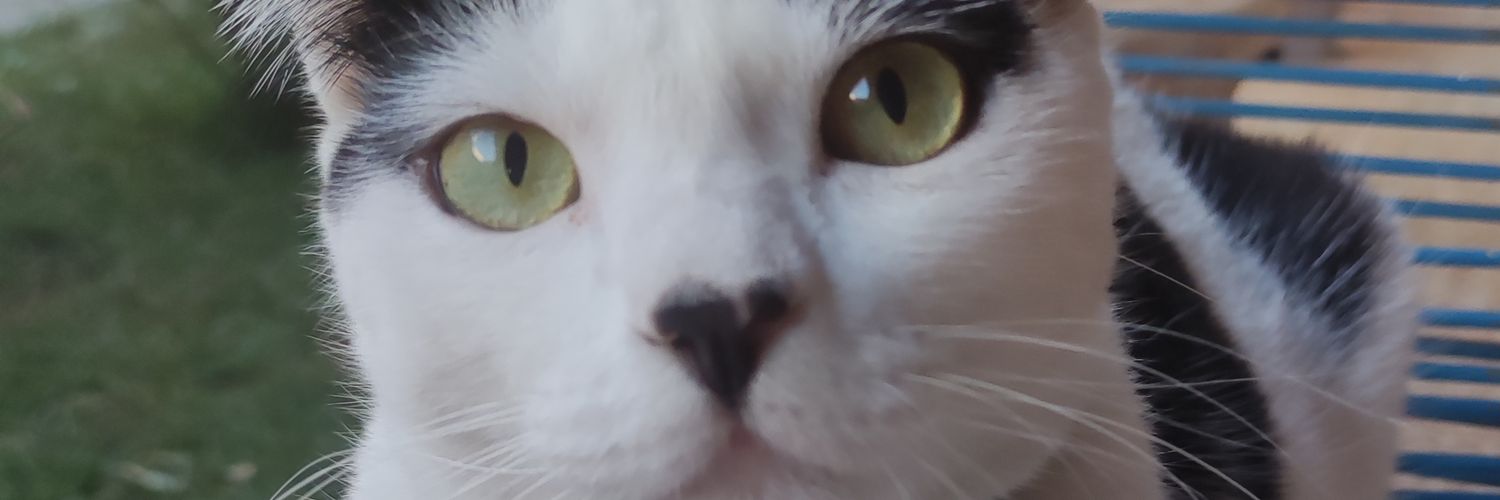 NFuiEuN's profile banner image