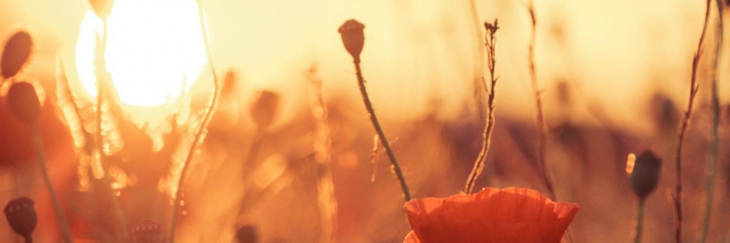 ClaudiaPerkins's profile banner image