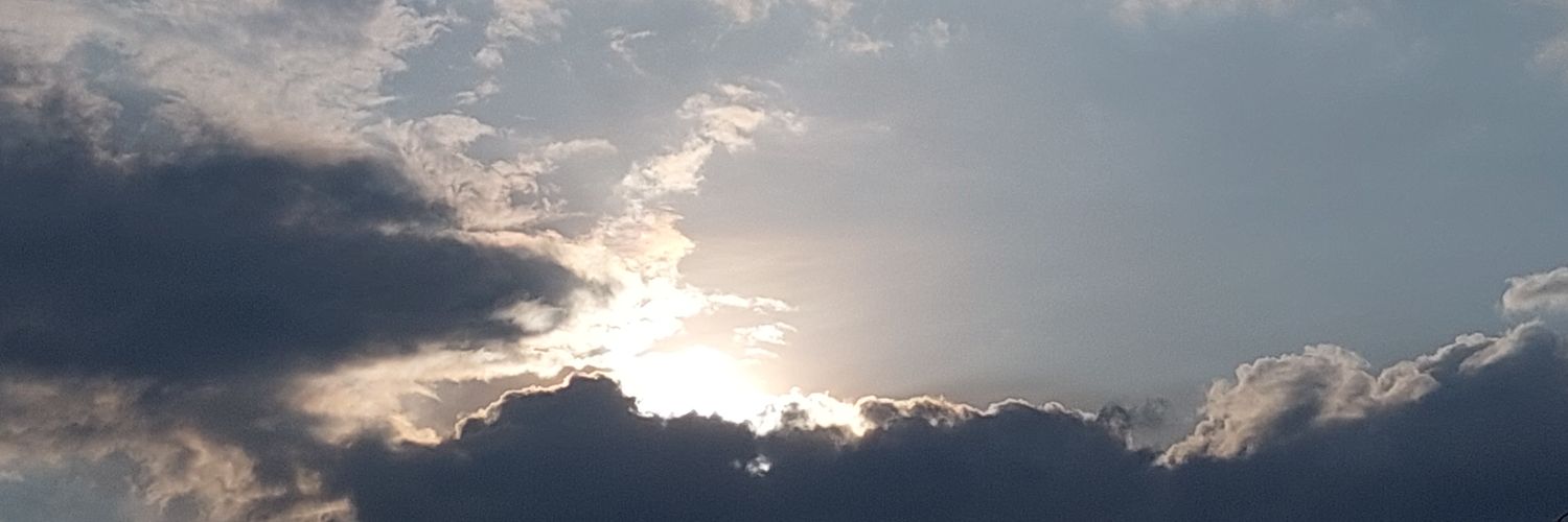 rianaraga's profile banner image