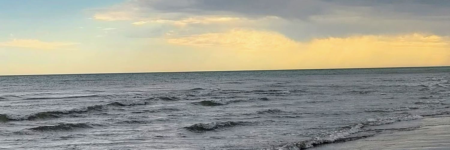 martti_munoz's profile banner image