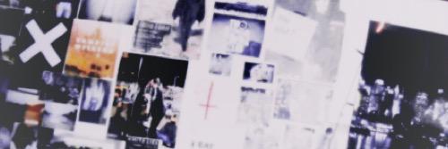 Sadie. banner