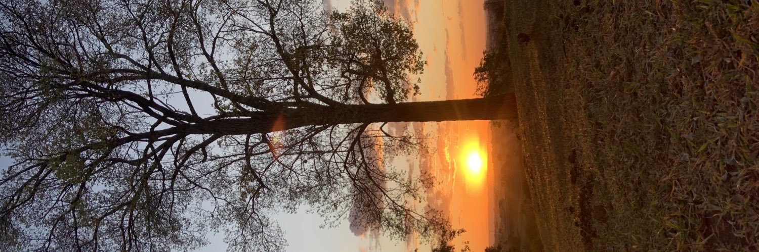dinhozzo's profile banner image