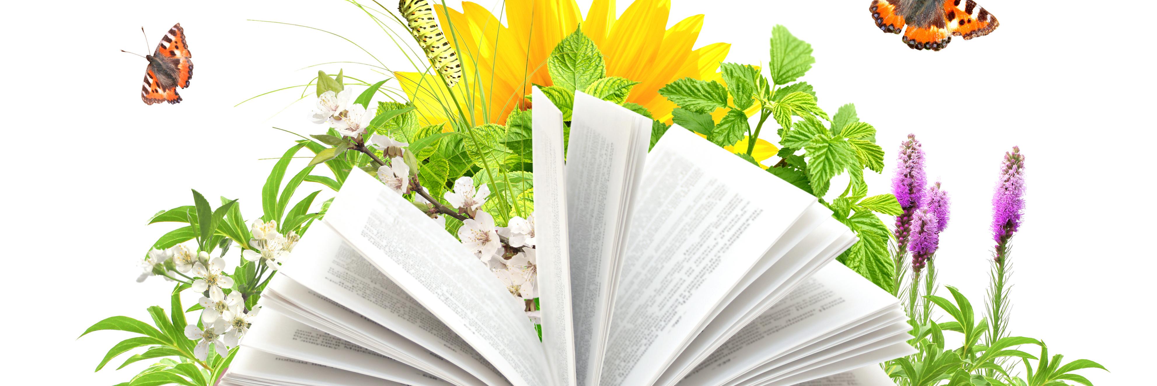 AdoreDesigners's profile banner image