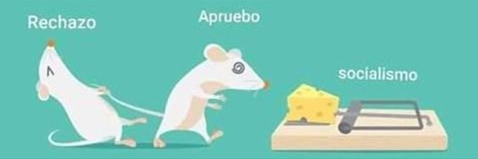orgullofaxopobr's profile banner image