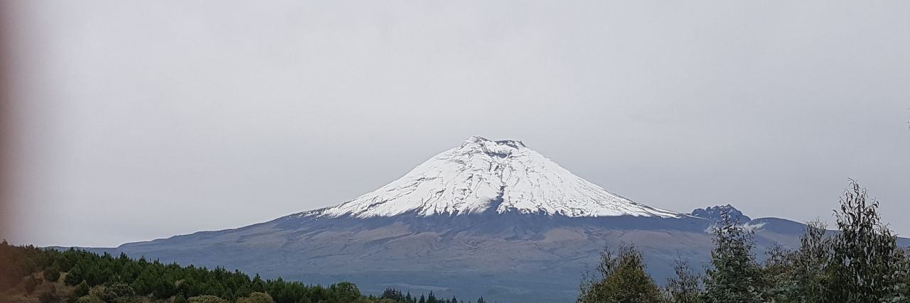 tograg's profile banner image