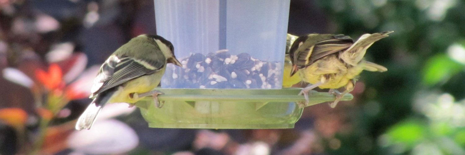 Wildlife World banner