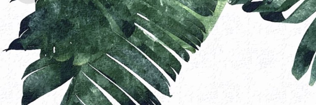 CarlaBonee's profile banner image