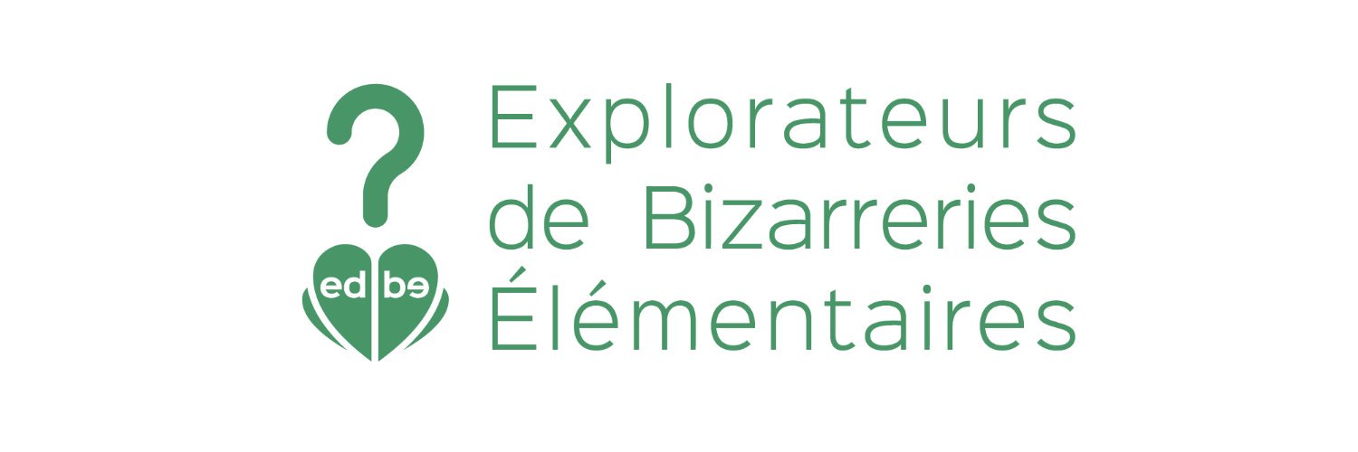 ExplorateursDBE's profile banner image