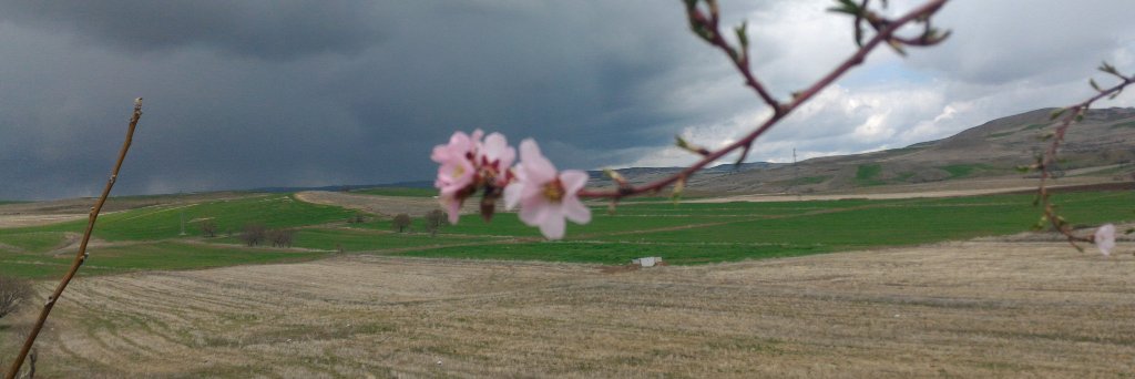 eliftoksimsek's profile banner image