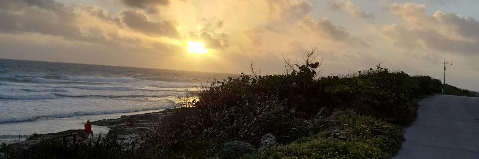 jdfish21's profile banner image
