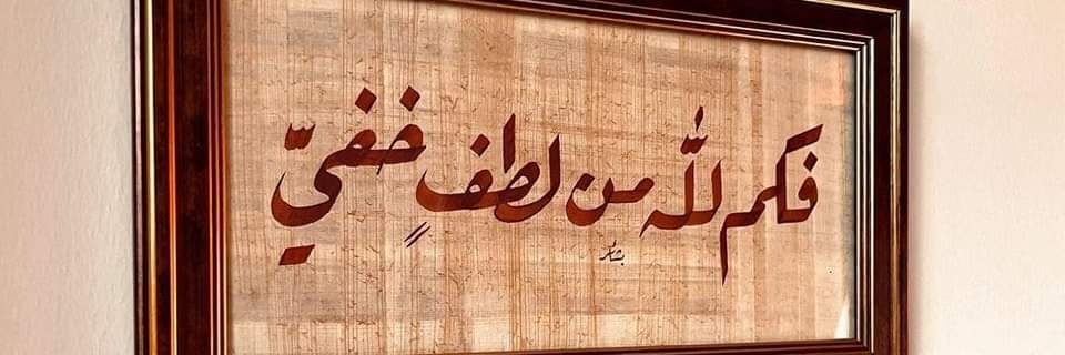 DaliaZanati's profile banner image