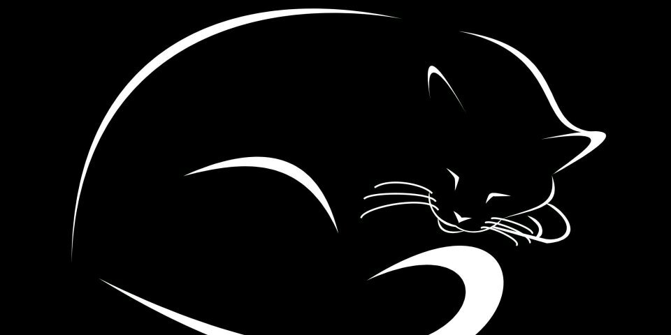 adjiput's profile banner image