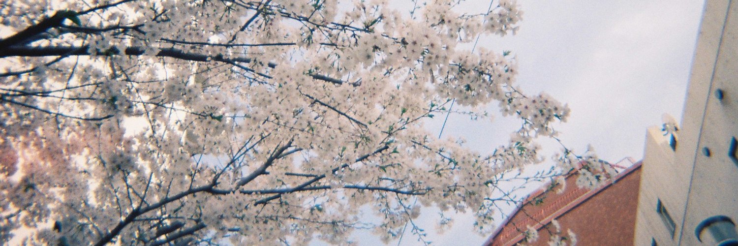 ochokonoflower's profile banner image