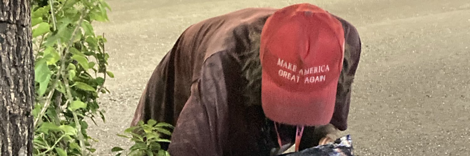 tibaass's profile banner image