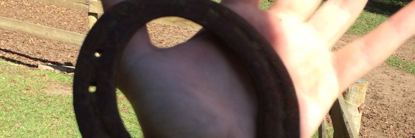 caciatorife Profile Banner