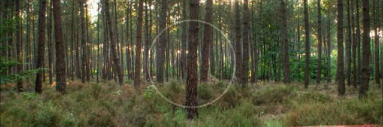 lile_fs's profile banner image