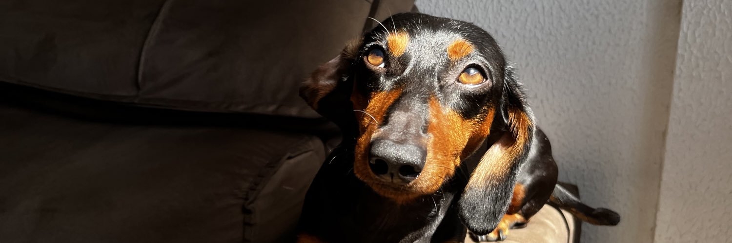 EdMesmo's profile banner image