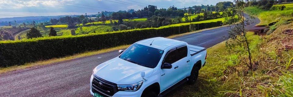 _PaperTrader's profile banner image