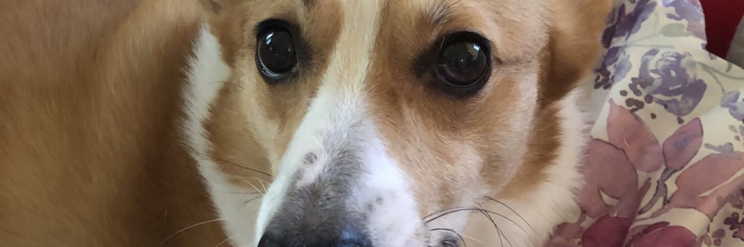 YukoChimimoryu's profile banner image