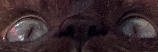 audthepeapod's profile banner image