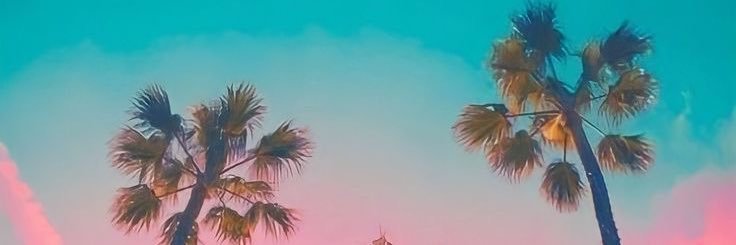brookenicooolee's profile banner image