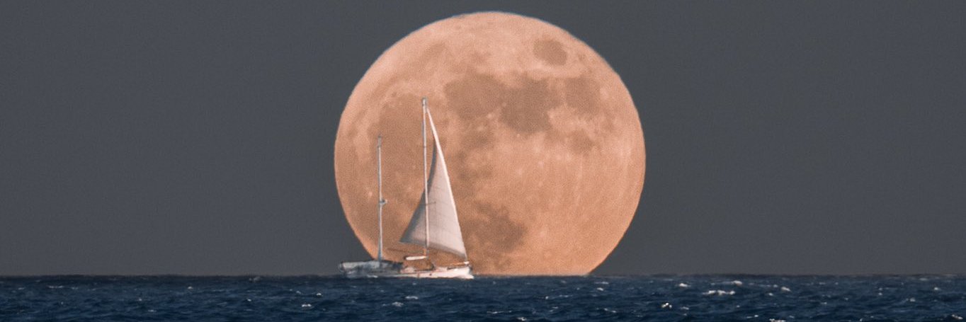 Petar Cholakov banner