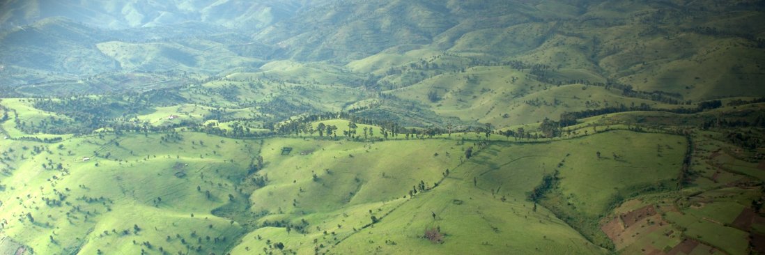 AlbertKayidi's profile banner image