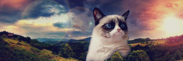JulieScha Profile Banner