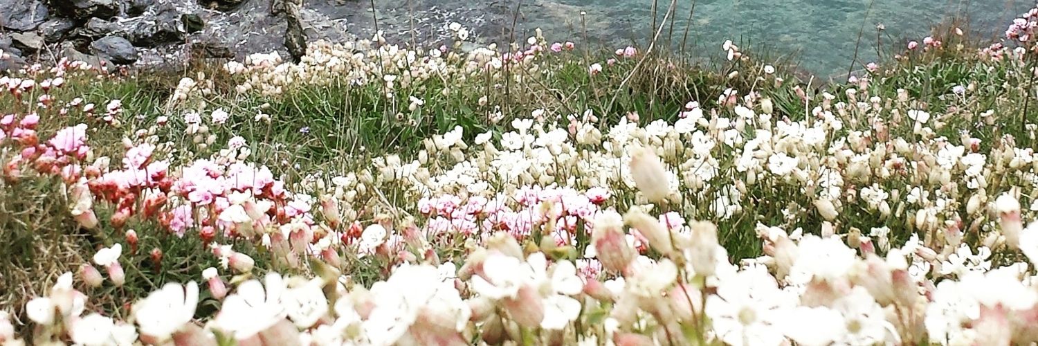 catrowetextiles's profile banner image