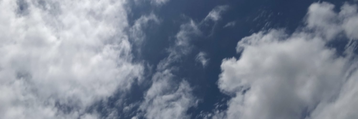 horiyosuke1114's profile banner image