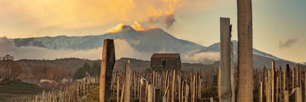 BenantiWines Profile Banner