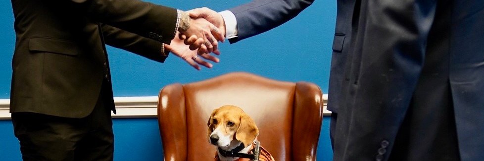 Justin Goodman banner