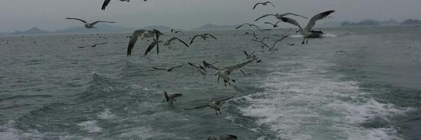 sin10071007 Profile Banner