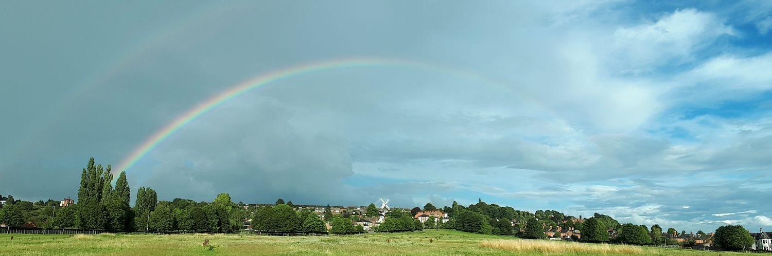 Rachel Shaw banner