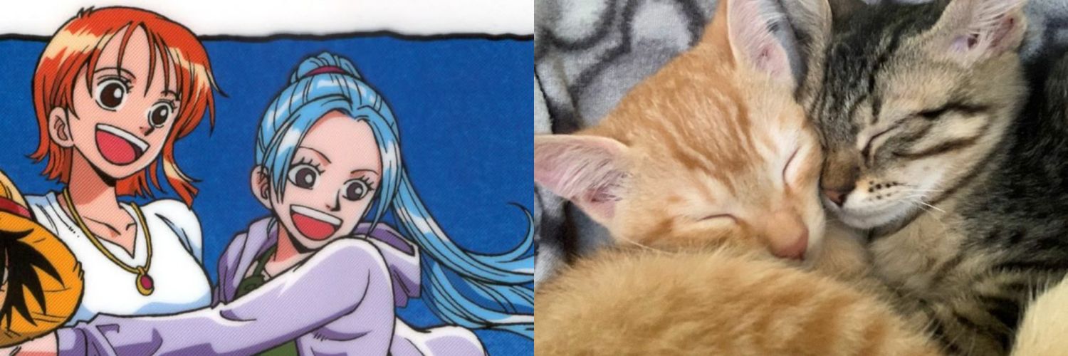 sab is seeing bts ⊙⊝⊜ banner