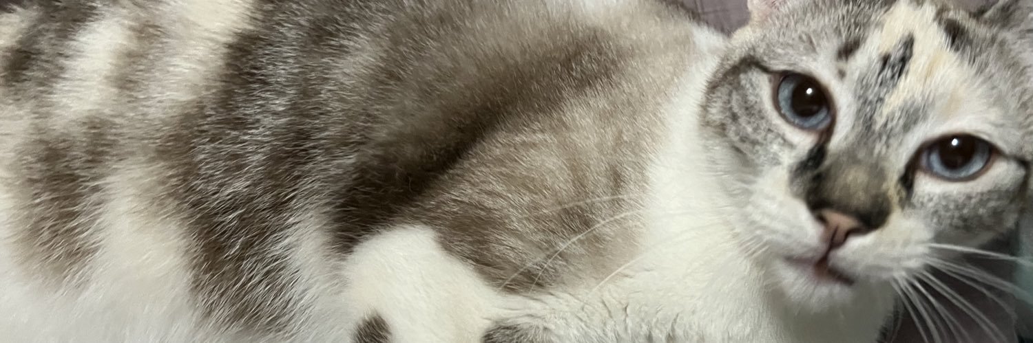 knownasvan's profile banner image