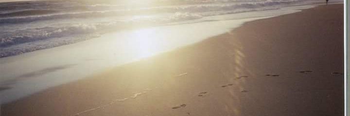 peteymcpete27's profile banner image