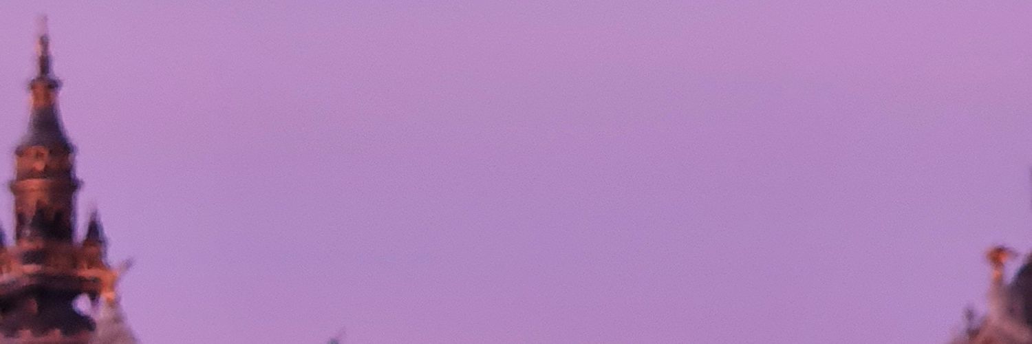 ravioli_bird's profile banner image
